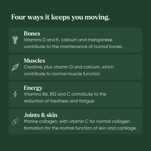 Four ways Silvie Body keeps you moving: bones, muscles, energy, and joints and skin, with the nutrients behind each