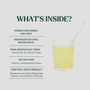 List of ingredients inside Silvie Body including creatine and marine collagen for women 55+