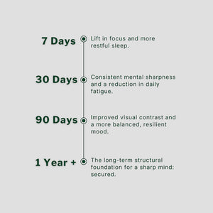 Time-based benefits of Silvie Mind over 1 year