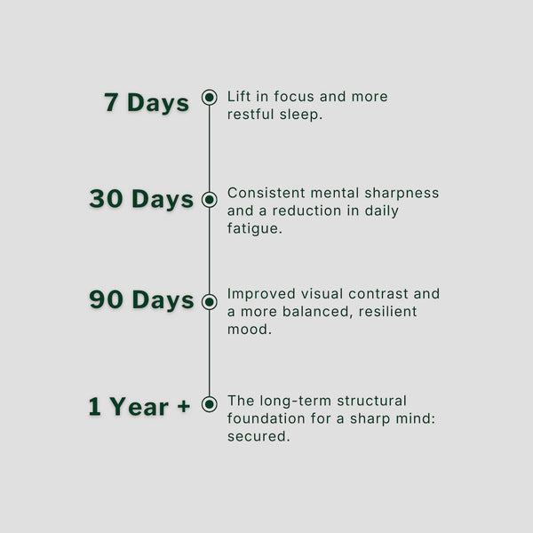 Time-based benefits of Silvie Mind over 1 year