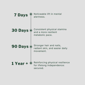 Time line chart showing health improvements over time of Silvie Body