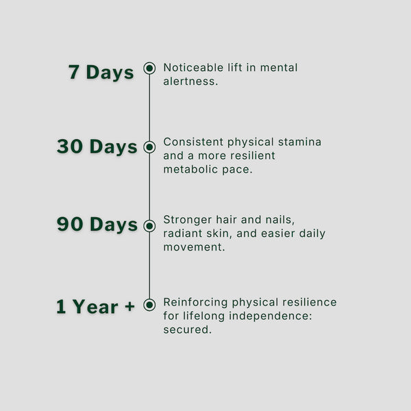 Time line chart showing health improvements over time of Silvie Body